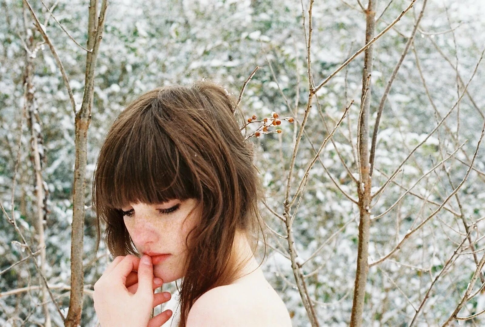 Прическа с вишенками. Прическа вишня. Стрижка вишня. Прическа вишня. Цвет спелая вишня на волосах с челкой.