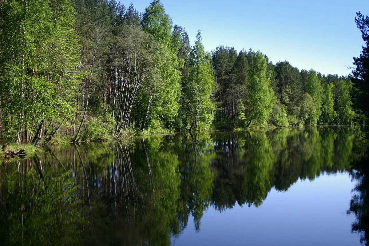Выя (приток тагила). Вые р. Река выя свердловская область. Река выя свердловская. Река выя приток тагила.