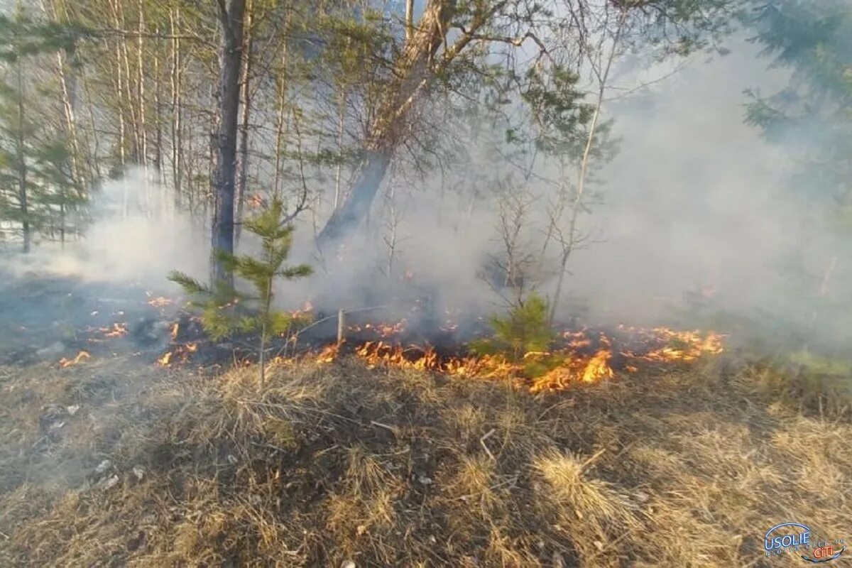 Пожароопасный период 2024 бурятия. Пожар в лесу. Природные пожары. Весенние пожары. Лес в огне.