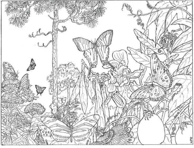 Coloring Pages - Happy Family Art Bird coloring pages, Cool coloring pages, Spri