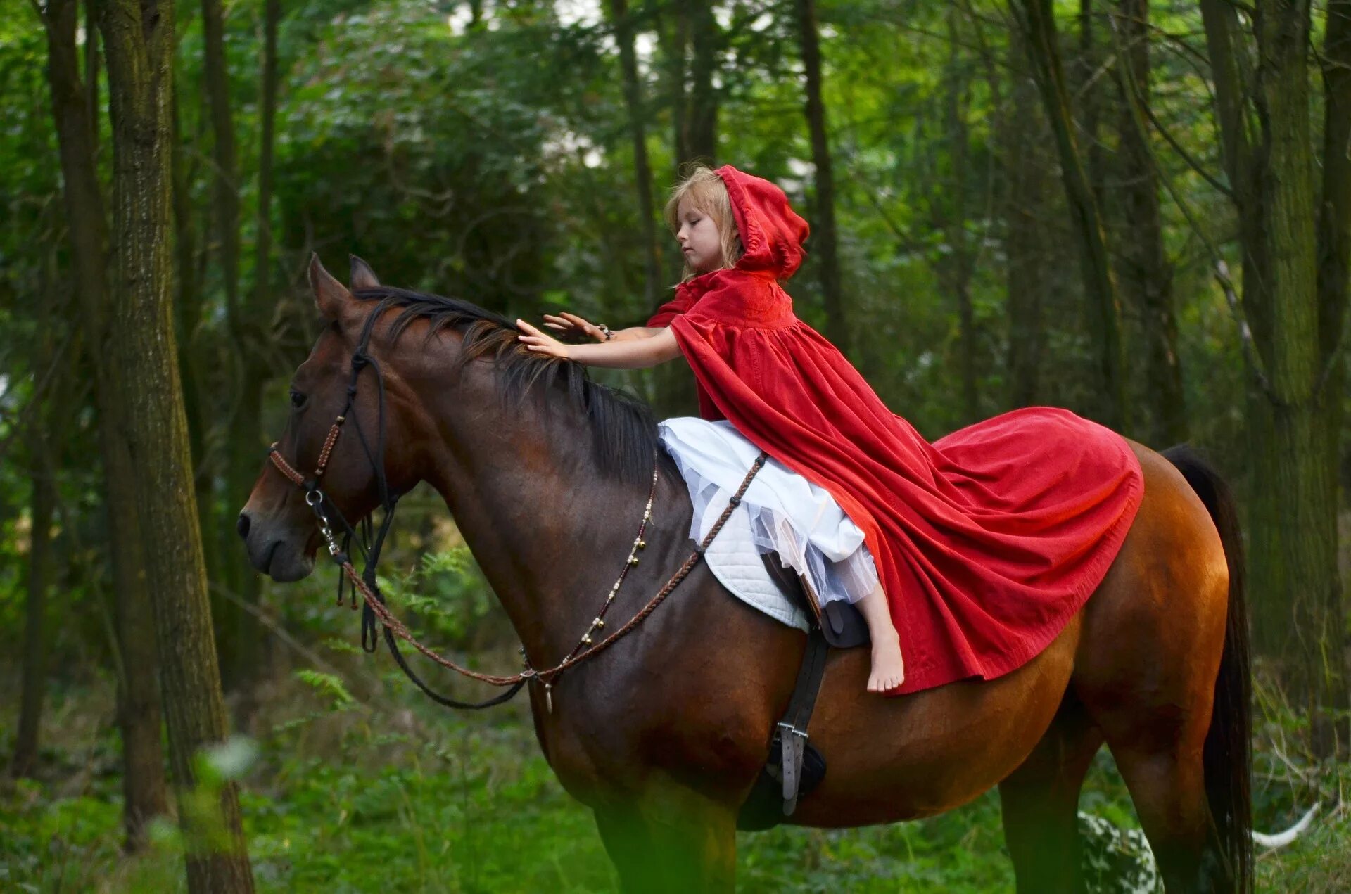 Redhead riding. Фотосессия на коне. Красная шапочка на лошади. Красная шапочка на коне. Фотосессия красная шапочка с лошадью.