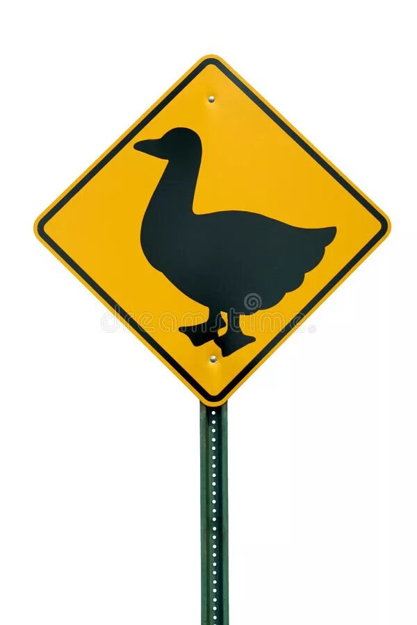 Знак с утками. Знак осторожно утки. Дорожный знак утки. Знак уточки дорожный. Дорожный знак с уткой.