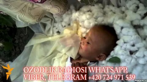 Дети забили
