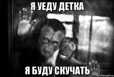 Конечно буду скучать