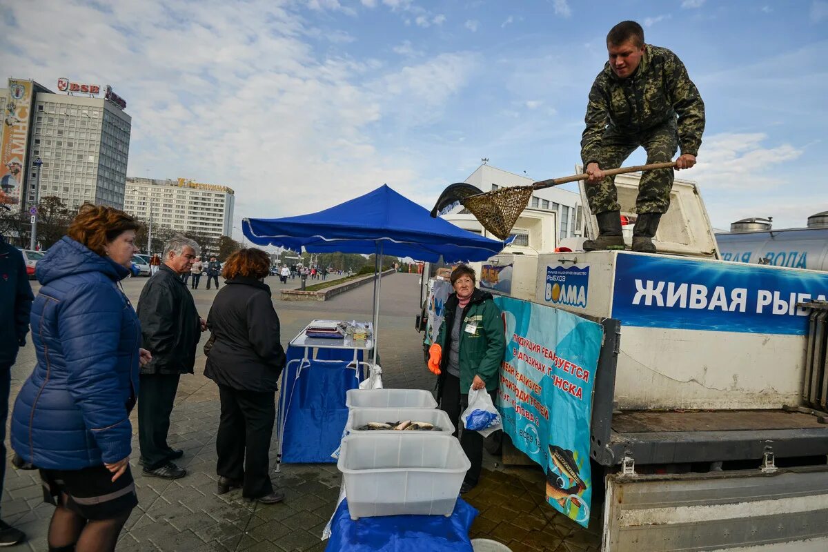 Рынок живая рыба. Торговля живой рыбой. Автомобиль для торговли живой рыбой. Живая рыба. Живая рыба на рынке.