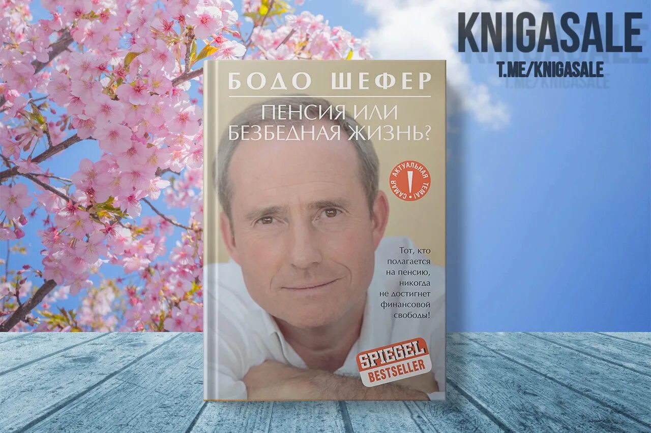 бодо шефер пенсия или безбедная жизнь