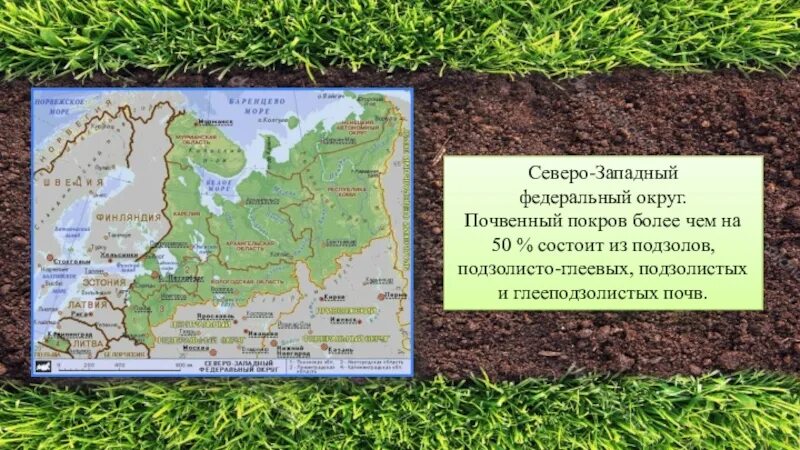 Порядок почв с севера на юг. Почвы Северо Запада России. Почвы европейского Северо Запада. Почвы европейского севера России. Карта почв севера Запада.