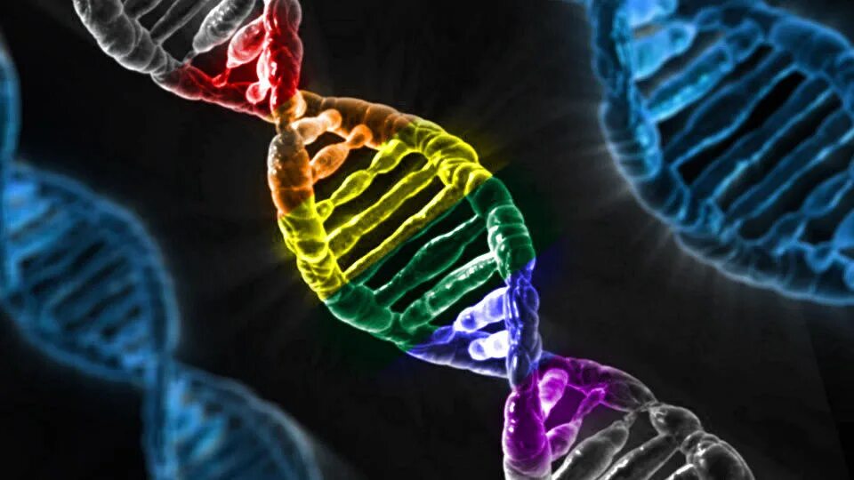 Хромосомы под микроскопом. Фон для презентации мутации. Мутации 2024. Y хромосома. Мутации 2024.
