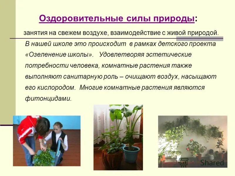 взаимодействие с воздухом. взаимодействие с воздухом. гигиеническое значение температуры. самолетные термины. летные термины военные.