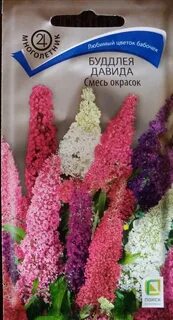 Буддлея давида смесь окрасок