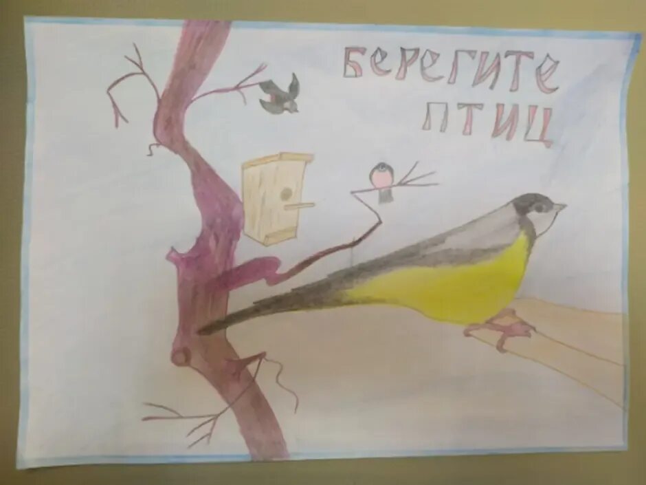 Берегите птиц рисунок. Плакат на тему птицы. Рисунки ко Дню птиц в детском саду.