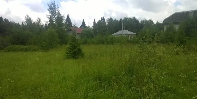 Погода сонино рузского. Домодедово участок  пачеом. Сонино рязанская область. Погода сонино рузского. Погода сонино рузского.
