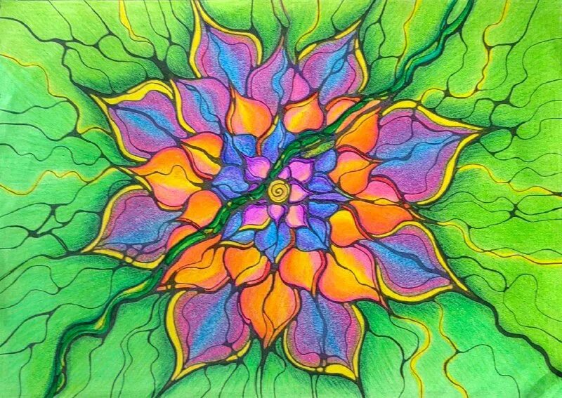 нейролотос нейрографика