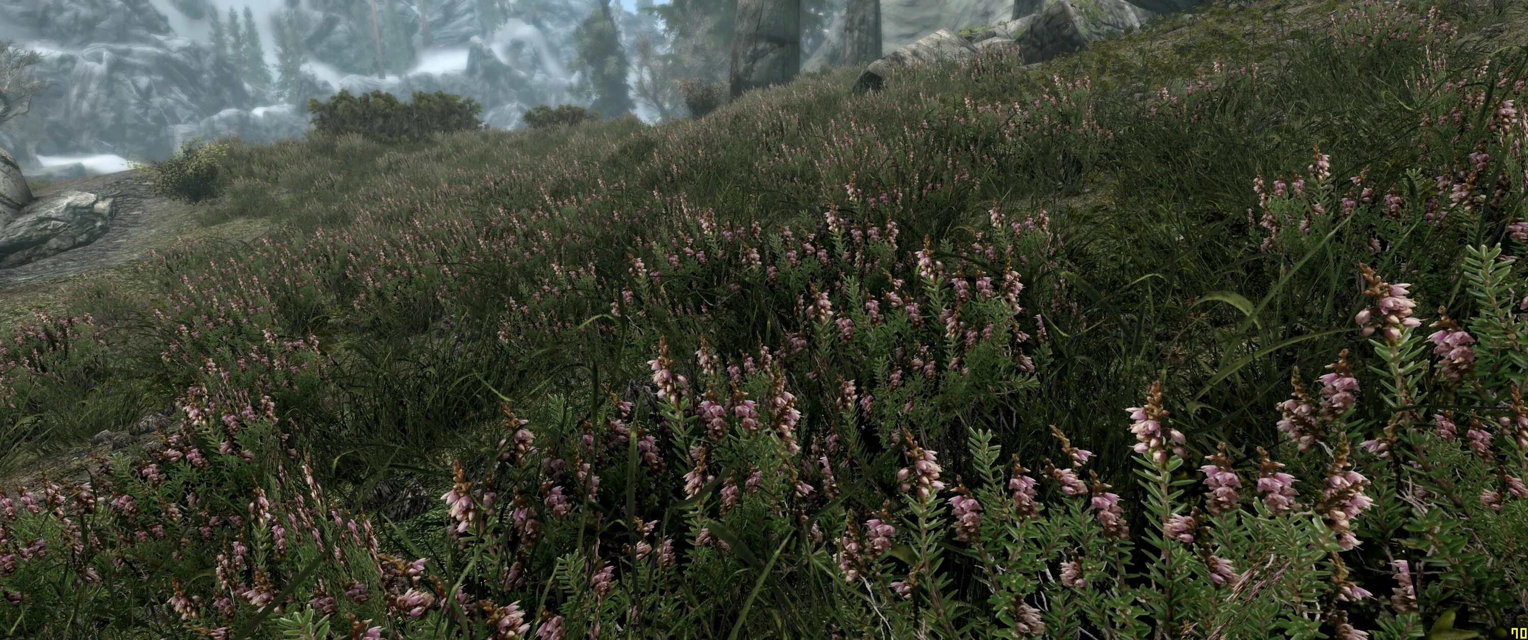 Skyrim se flora. Моэс вереск. skyrim flora overhaul. кустарник ретекстур скайрим. снежноягодник скайрим.