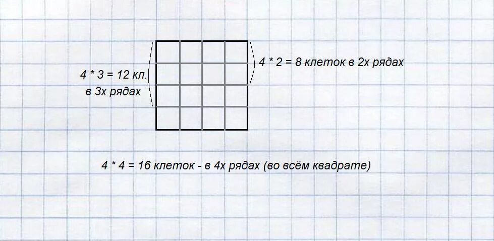 Сколько клеток в 1 7