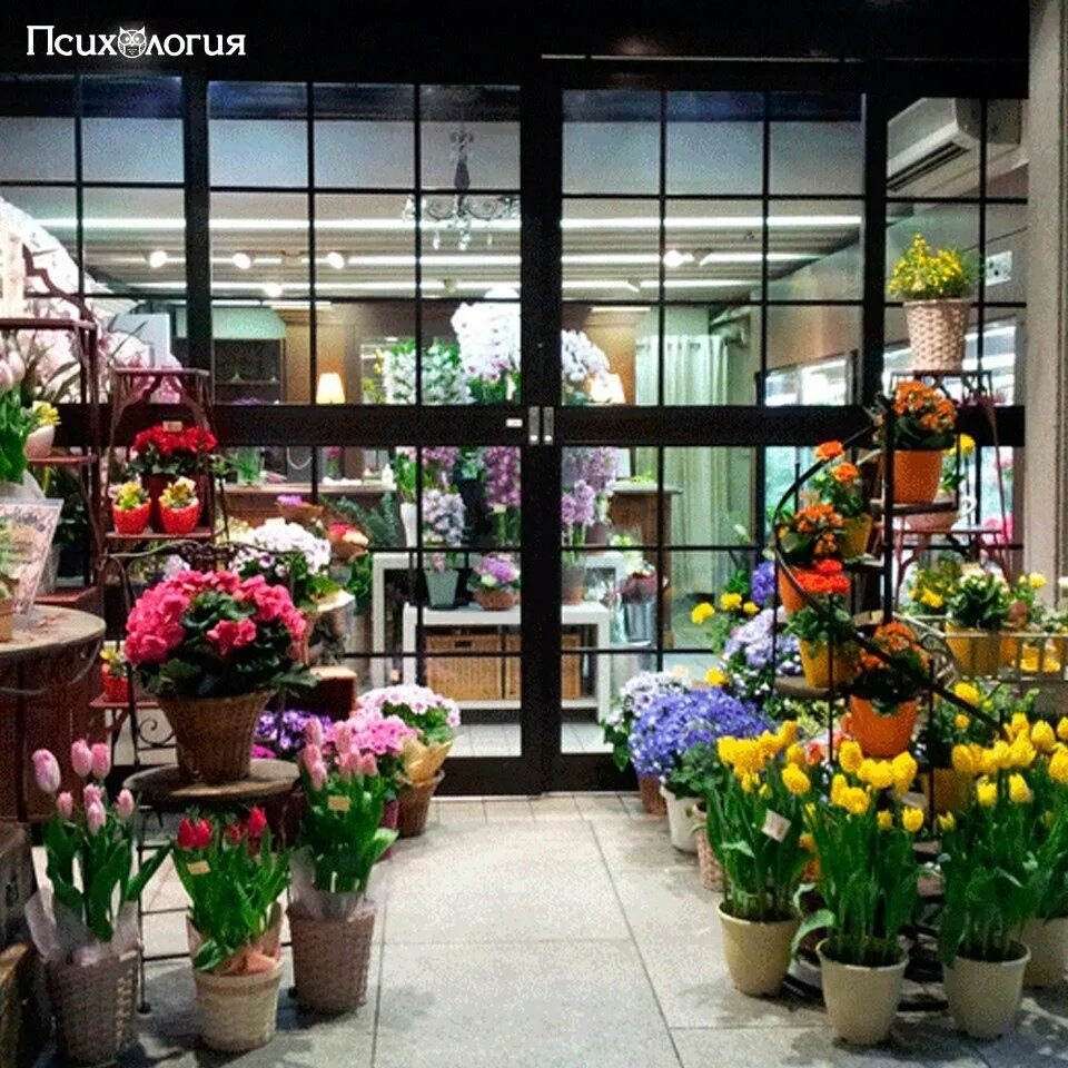 Интерьер цветочного магазина. Элитный цветочный магазин. Идеи для цветочного магазина. Цветочный магазин бизнес.