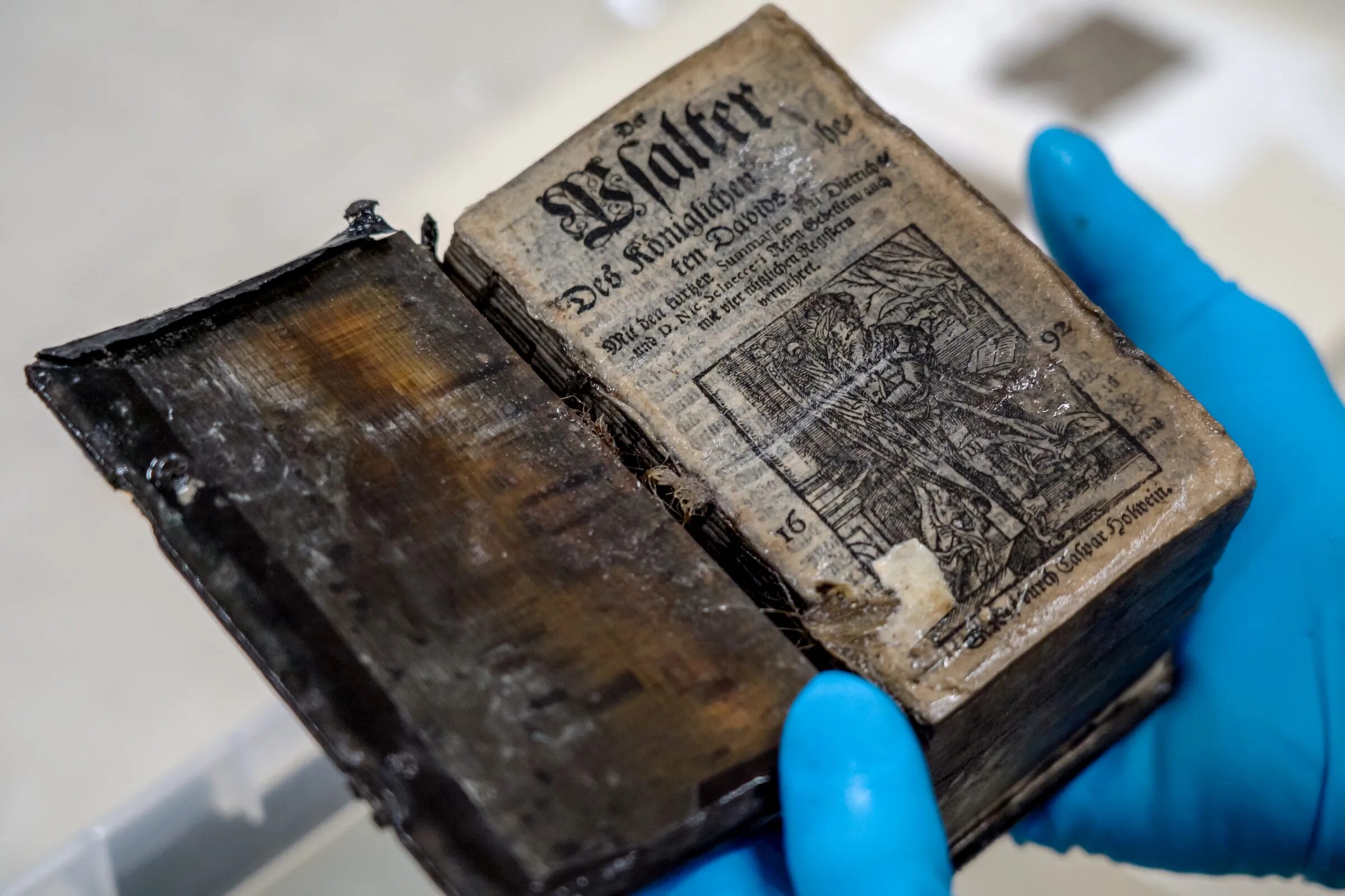 Книга александр тамбиев как увидеть морское дно. Находки старинных книг. Со дна моря книга. Морские жители книга. Со дна моря книга.