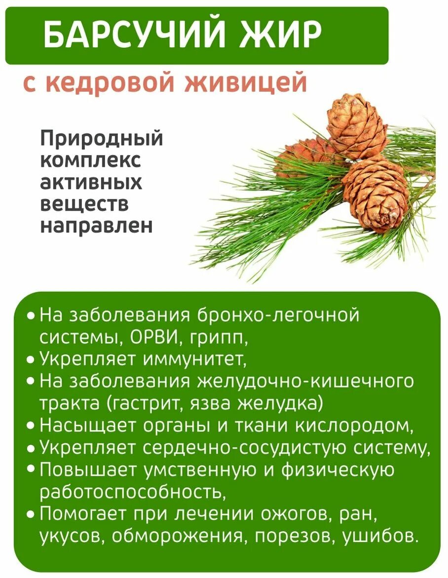 сибирский кедр дигидрокверцетин