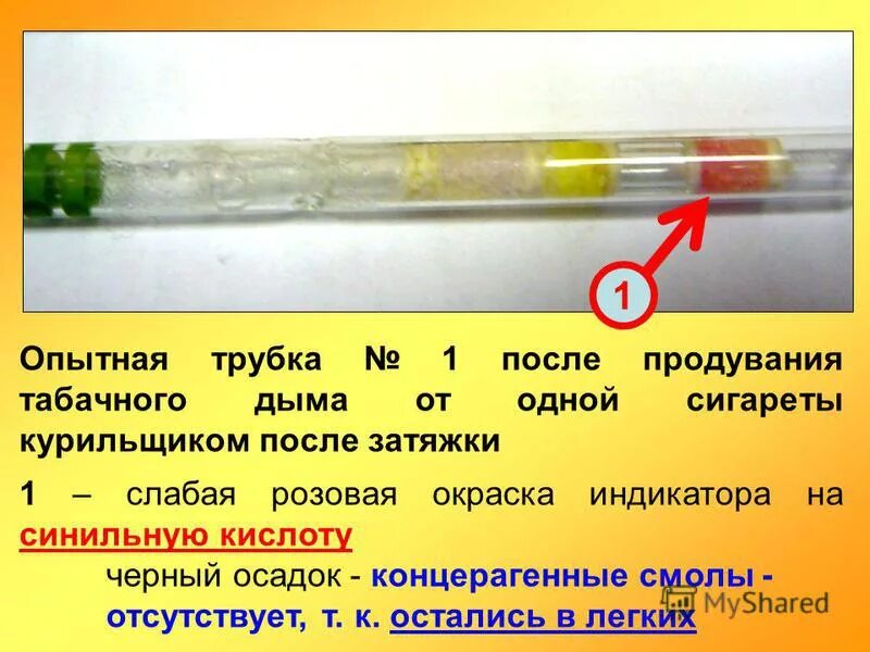 После 1 сигареты