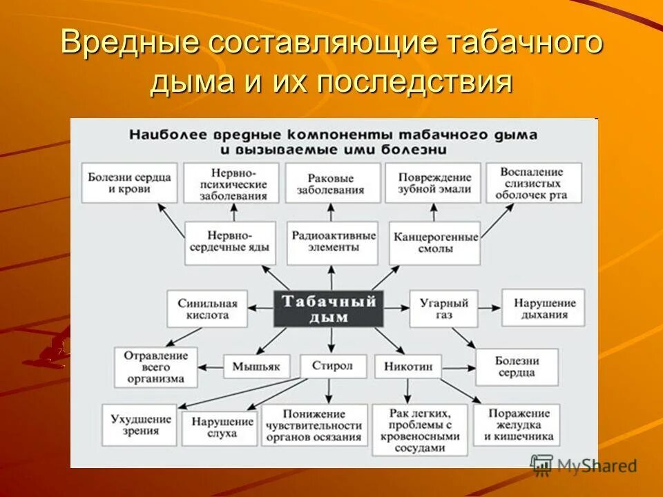 фталаты. влияние вредных привычек на организм. составляющие вреда. фталаты в парфюмерии. схема последствия вредных привычек.