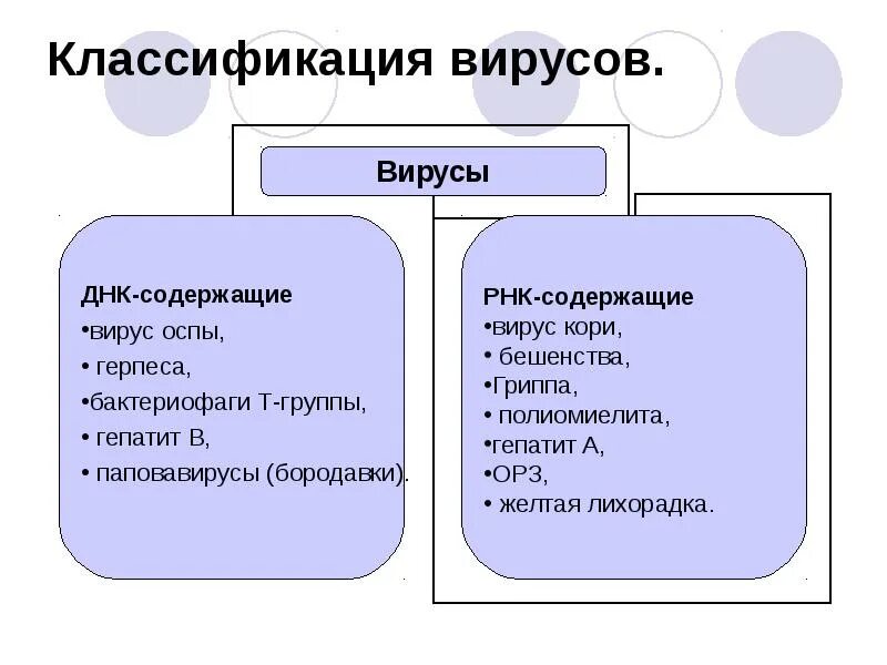 Запишите классификацию вирусов в виде таблицы. Классификация и структура вирусов. классификация вирусов схема. классификация вирусов по строению. классификация вирусов таблица.
