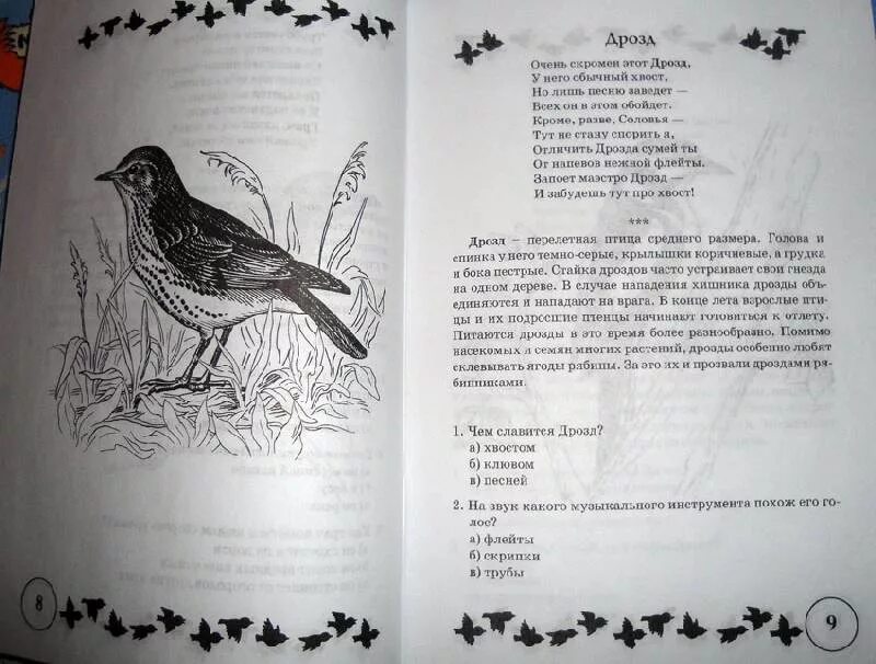 Программа дрозд. Стихотворение про дрозда. загадка про дрозда. стишок про дрозда. стихи про дроздов.