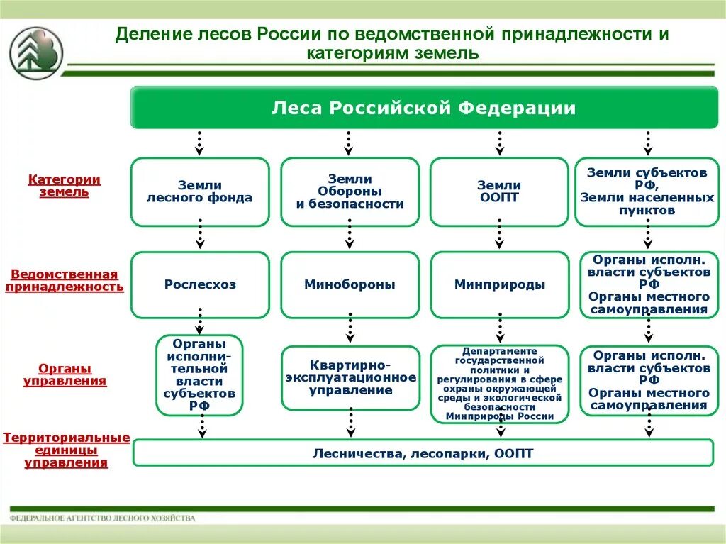 Структура управления землями лесного фонда РФ. Структура отдела охраны леса в России. Система охраны леса в РФ. Деление лесов на группы и категории защищённости. Какие есть группы лесов