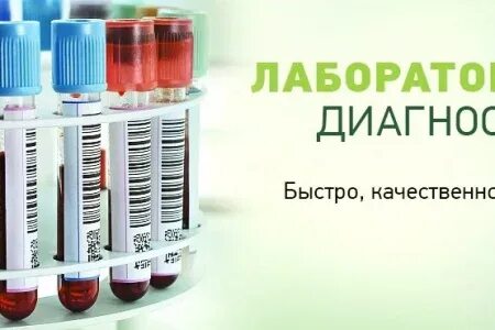 Врачеватель пушкино