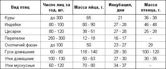 Периоды инкубации куриных яиц таблица. Таблица выведение цесарок в инкубаторе. Инкубация несушек таблица. Температурный режим в инкубаторе для куриных яиц таблица.