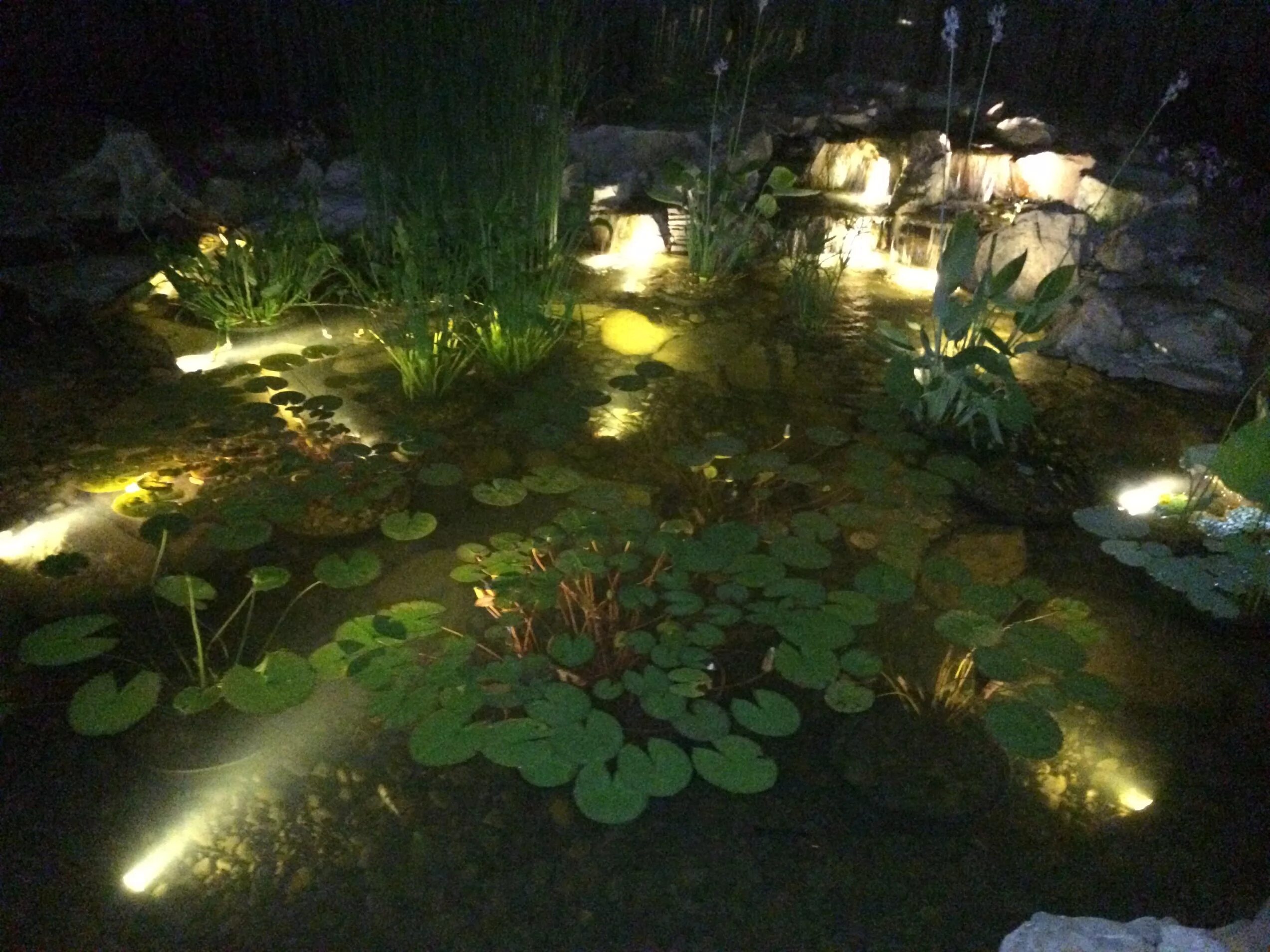 Подсветка пруда. Подсветка водоемов в саду. Светильники для водоемов. Подсветка прудика. Освещенность водоемов