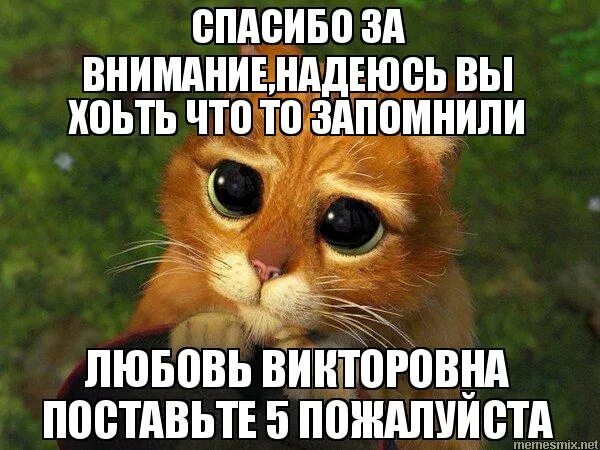 спасибо за внимание поставьте 5 пожалуйста. жду надпись. спасибо за внимание поставьте. я очень надеюсь. тоже очень надеюсь.