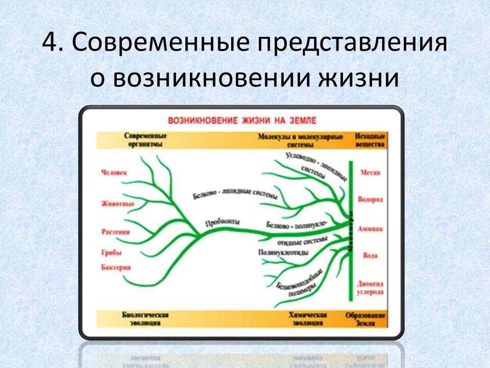 Современные представления о возникновении жизни. Современные представления о возникновении жизни на земле. Современные представления о происхождении жизни. Схема возникновения жизни на земле. Последовательность появления групп организмов