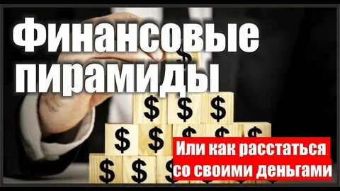Финико пирамида финансовая последние новости
