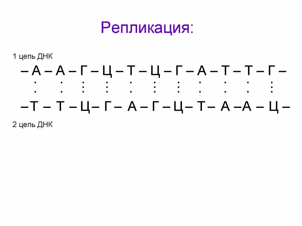 Смысловая цепь днк это. Цепочка ДНК А-Ц-Г-Т-А-Г-Ц-Т-А-Г вторая цепь. А Г Ц А Т Т Г Ц А ДНК 2 цепь. Цепочка ДНК Г-Г-Г-Ц-А-А-Т-Т-Ц-А. Цепочка ДНК А Т Г А Ц Г Ц А Г.