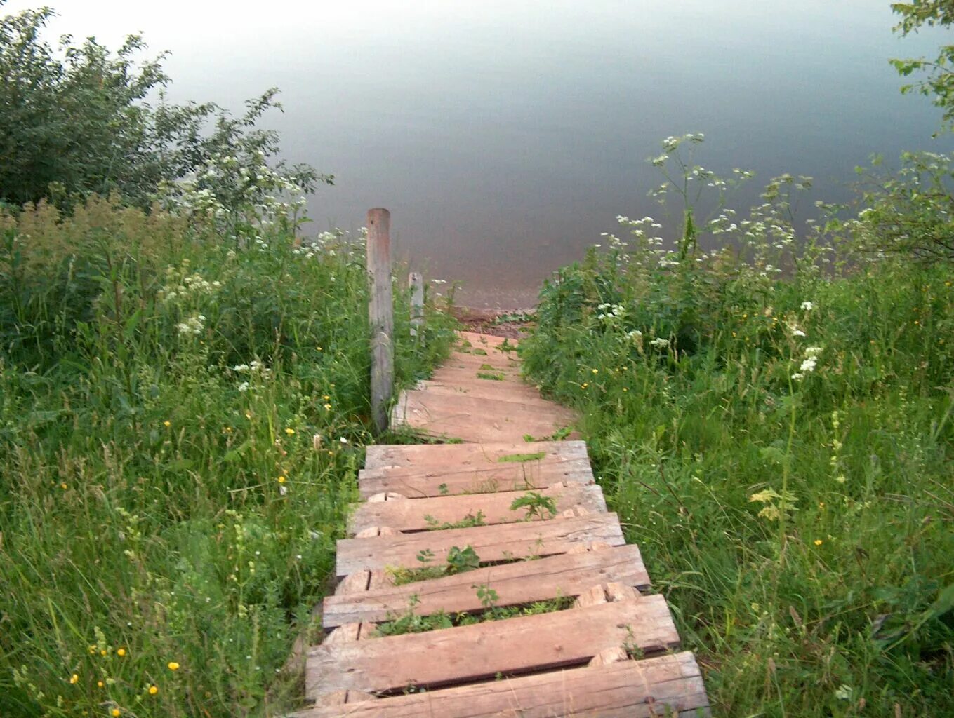 Пруд Сорокин мостки. Лестница к реке. Лестница спуск к реке. Деревянная лестница к реке.