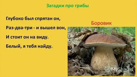 Загадка про гроб