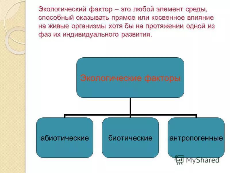 Любой элемент. Элементы среды и экологические факторы. Фактор это элемент среды. Косвенное влияние экологических факторов. Косвенное воздействие на живые организмы.