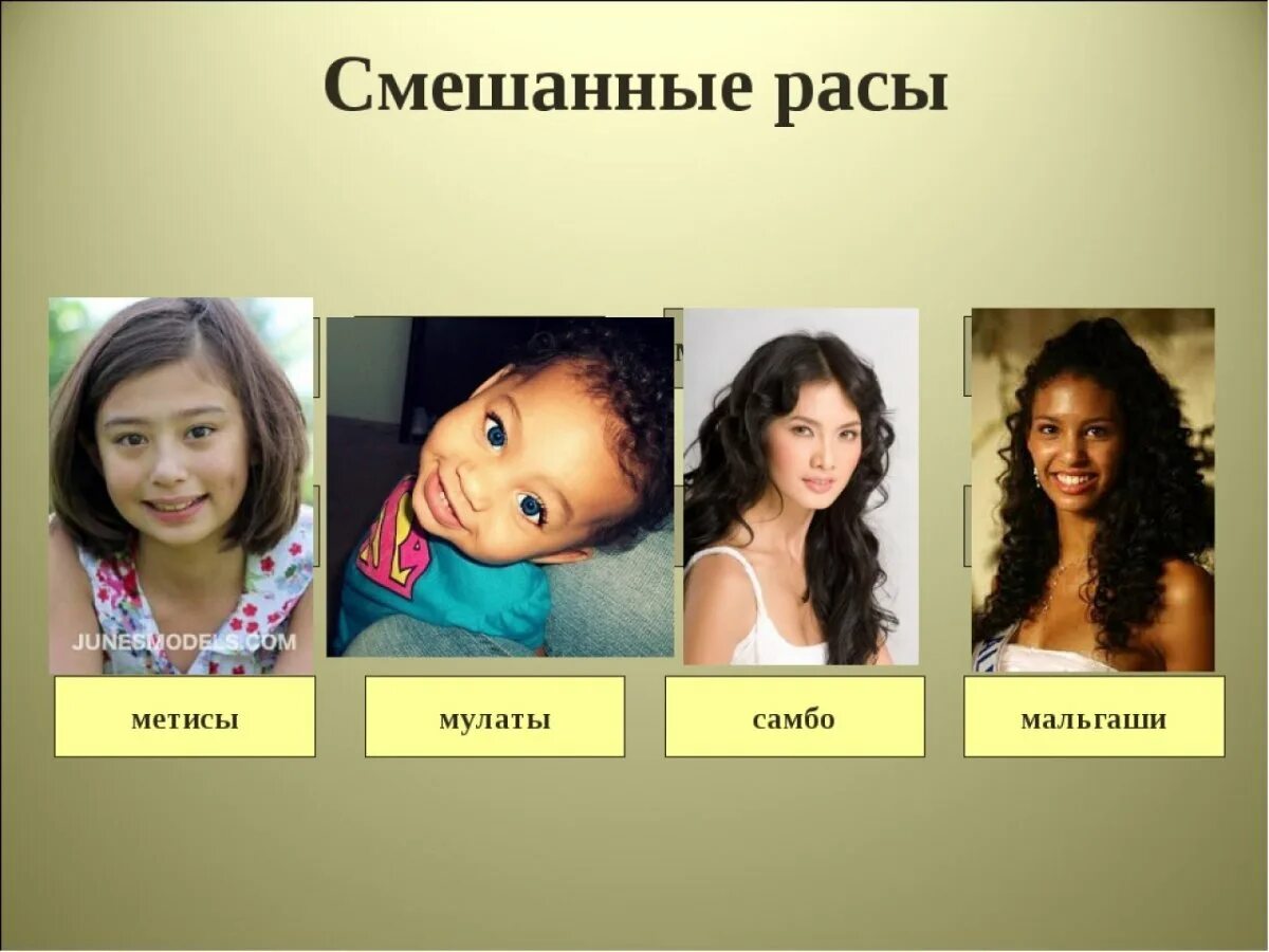 Где живут мулаты