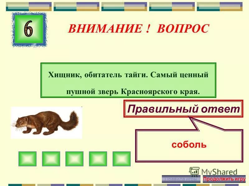 Номера викторины в красноярском крае. Вопросы по хищным. Вопросы про хищников.