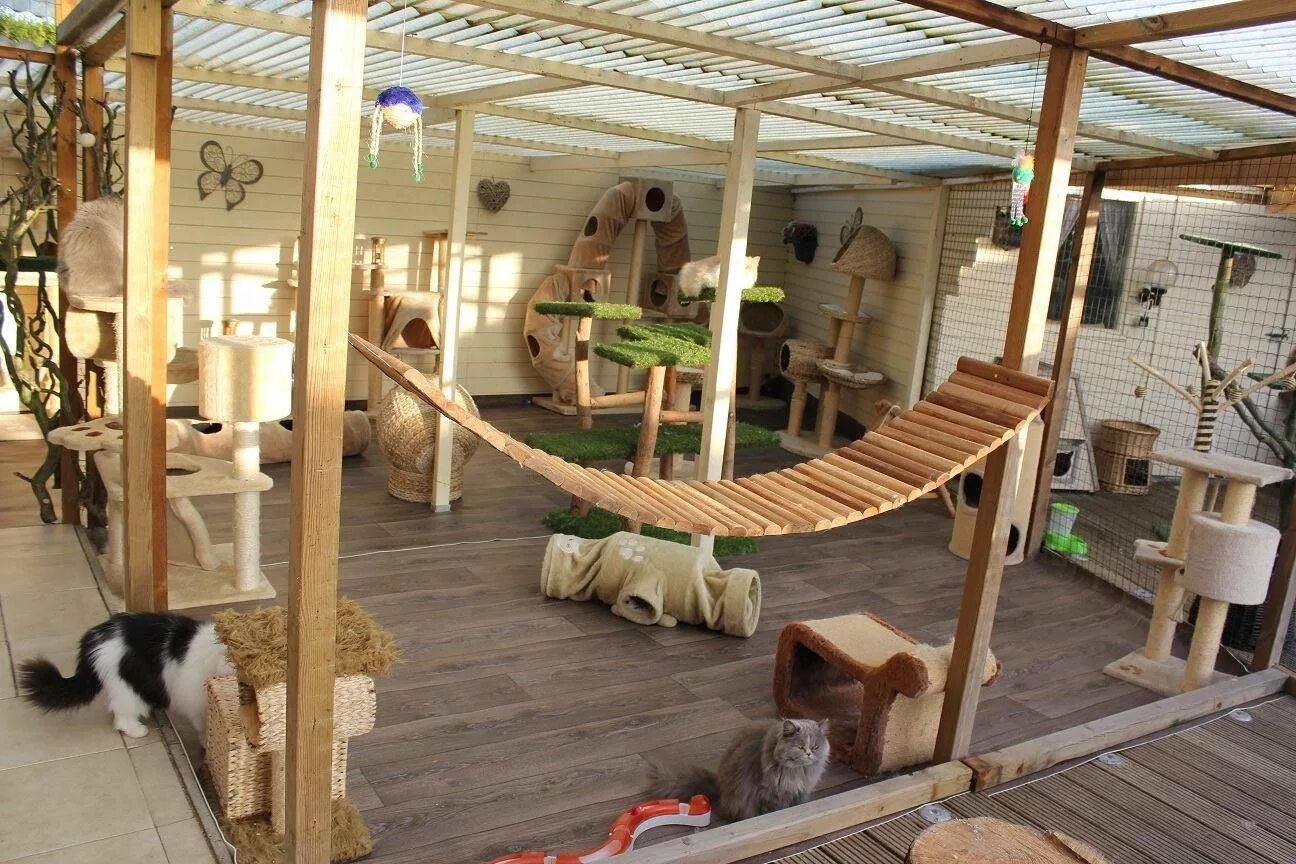 Cat playground