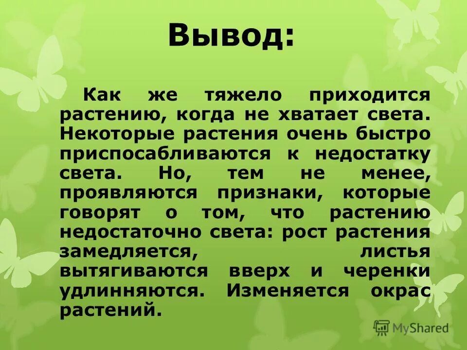 Влияние условий на развитие растений. Влияние света на растения. Влияние солнца на растения. Влияние света на рост растений исследовательская работа. Биология влияния света на растения.