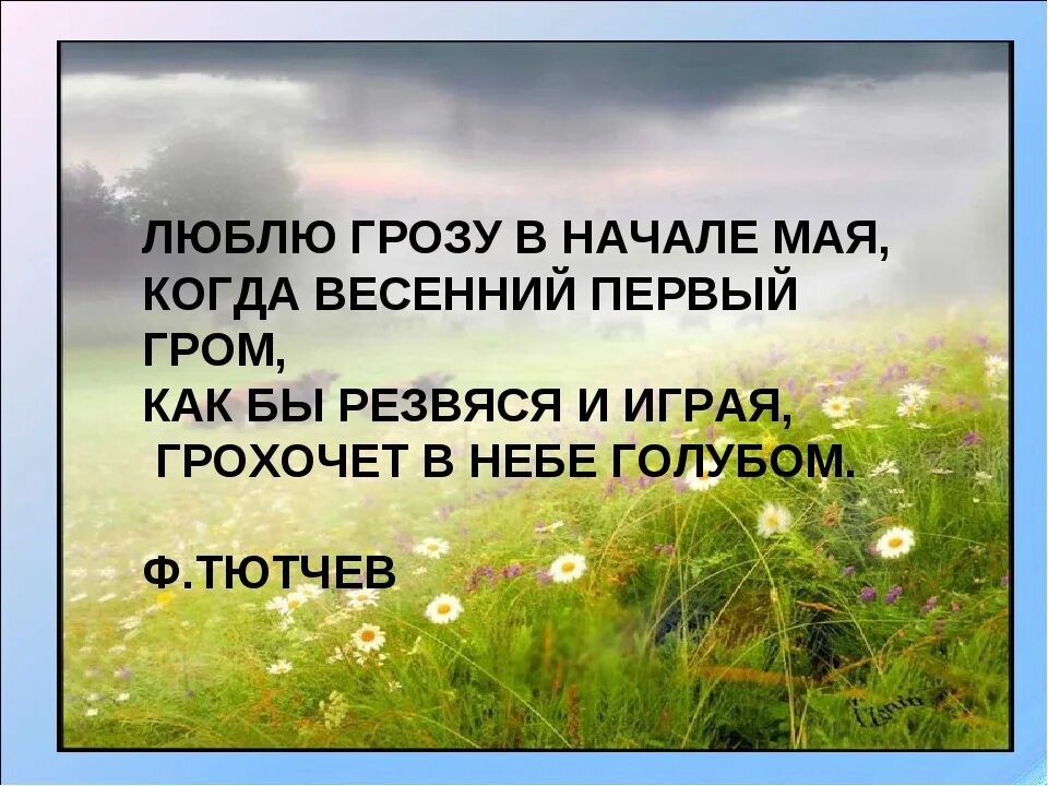 Стих люблю в начале мая. Стих люблю грозу в начале мая. Люблю голзу в начале ма. Люлюгрозу в начале мая. Люблю гразутвтначале мая.