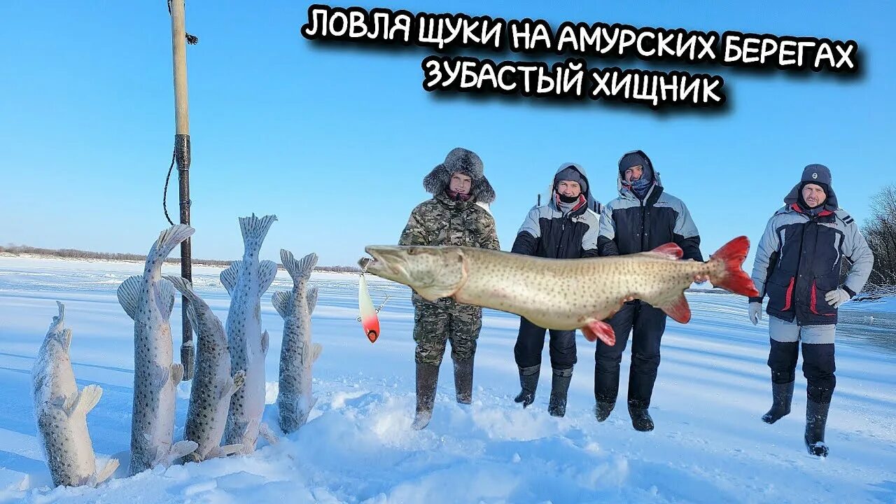 На что ловить амурскую щуку ЛОВЛЯ ЩУКИ НА КАСТИНГ МАЙ 2022 РЫБАЛКА АМУРСКАЯ ОБЛАСТЬ YouTube
