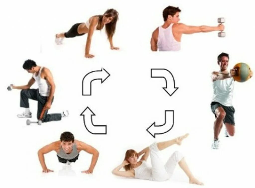 Метод переменно непрерывного упражнения. Упражнения для круговой тренировки. Метод круговой тренировки. Метод круговой тренировки комплекс упражнений. Комплекс круговой тренировки на выносливость.