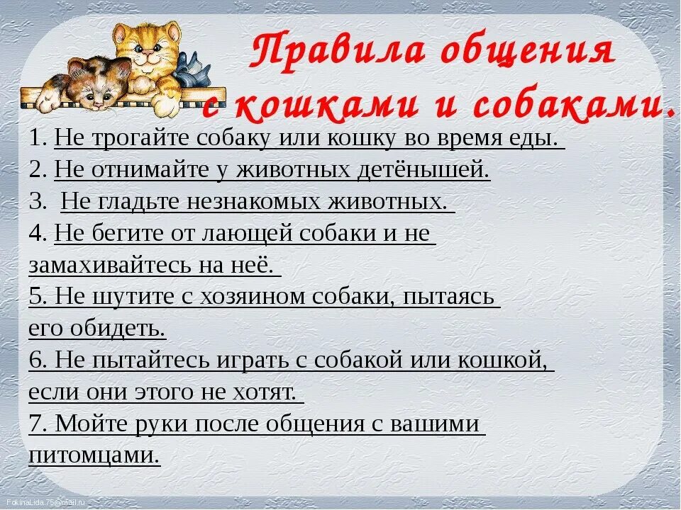 Безопасность при работе с животными. Правила общения с домашними животными. безопасность при общении с животными детям. памятка о правилах обращения с животными. правила поведения с животными.
