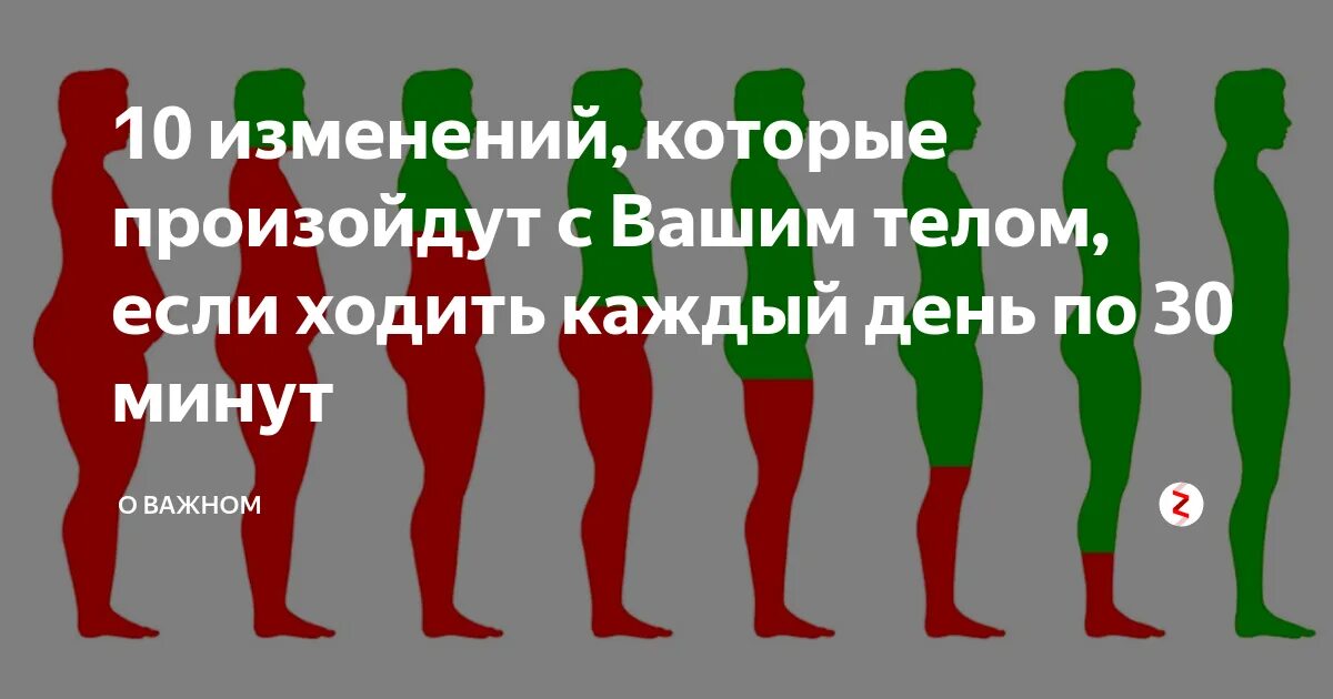 Ходьба каждый день. Что будет если ходить каждый день. Если каждый день ходить по 10 км. Что будет если каждый день ходить 5км. Как меняется тело при ходьбе каждый день.