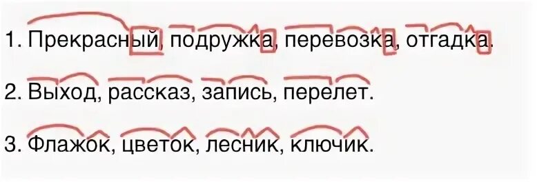 Обеих подруг ошибка