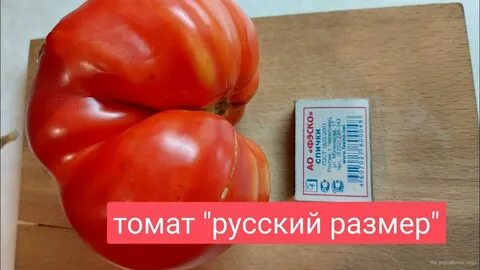 Помидоры размеры