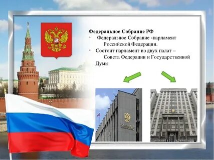 Понятие федерального собрания