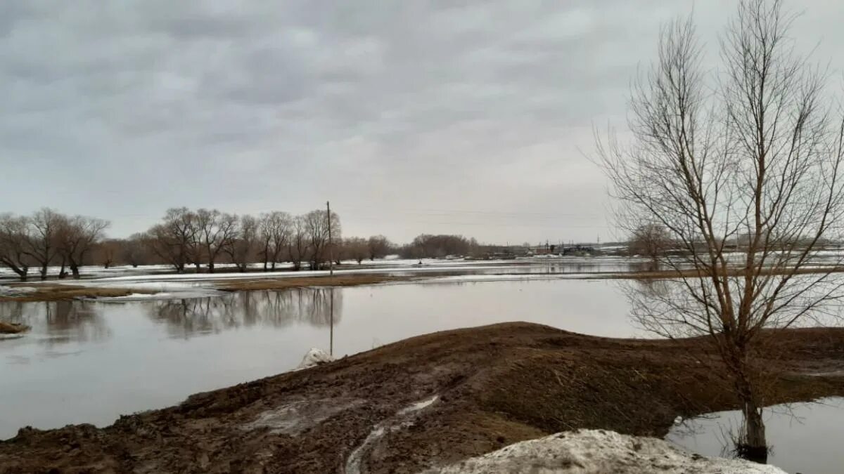 Уровень воды алей